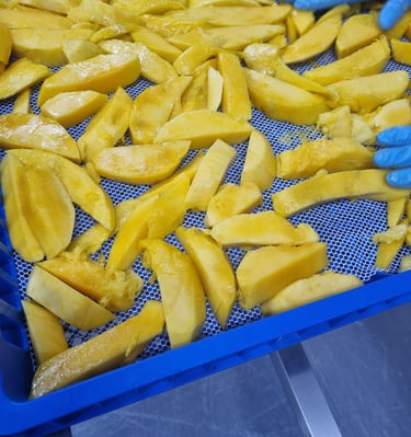 Mangos before drying in a dryer