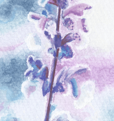 a painting of a lavander flower in a field