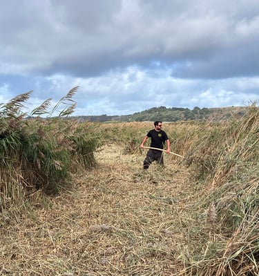 land_culture_projects_st_ouen