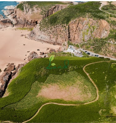 land_culture_projects_plemont