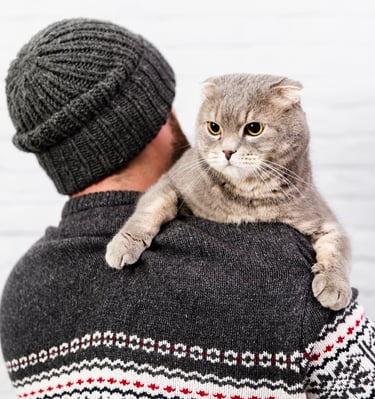 Professional cat pet sitters in Lynnwood, with custom care for your cats needs