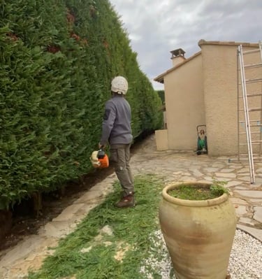 paysage marsillargues