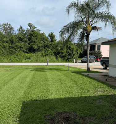 a sebring fl parked in a grassy area with a palm tree