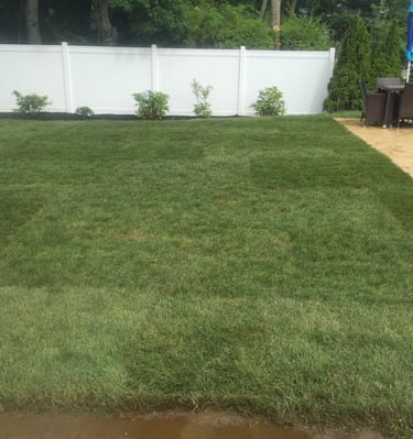 Sod Installation