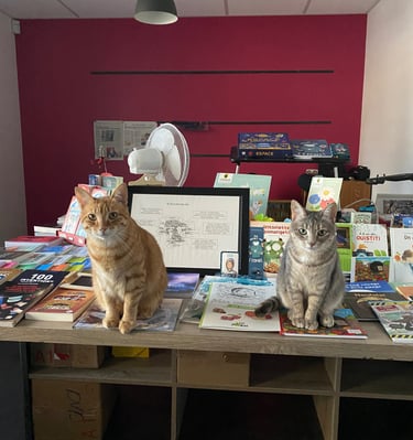 Tigrou le Roux et Tania la grise sauront vous guider dans vos choix