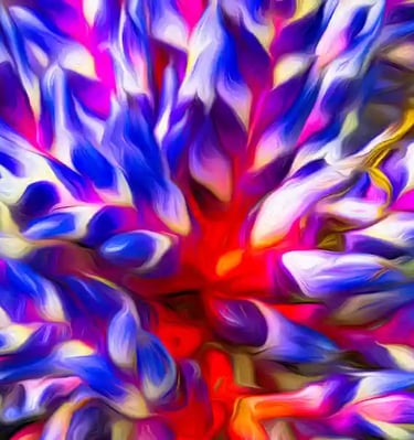 Bromelia geslacht Aechmea