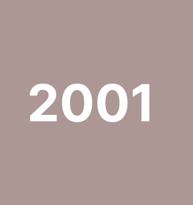 Close-up of ballet slippers on the studio floor.