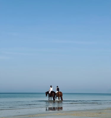 chevaux sur la plage