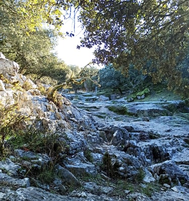 Río Bailón a la altura de las chorreras