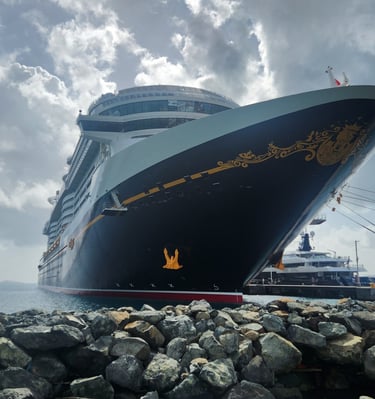 a cruise ship docked at a dock with a cruise ship in the background