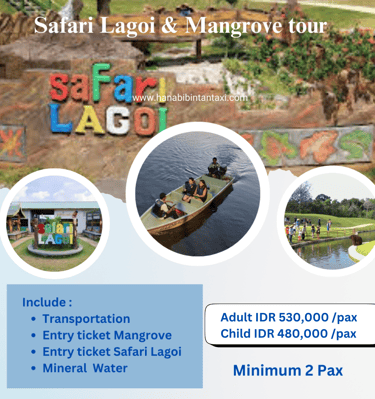 Safari Lagoi and  Mangrove Tour