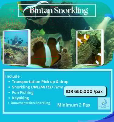 Snorkeling Trip