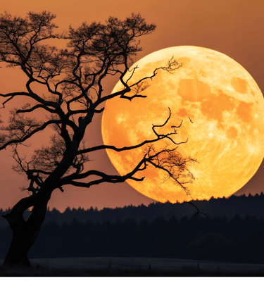 sun-and-moon-crystal-charging-pure-nectar-oils