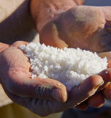 Récolte artisanale de sel marin à la main à Guérande