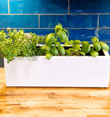 kitchen herb planter box made from quality wood painted in farrow and ball paint in colour white