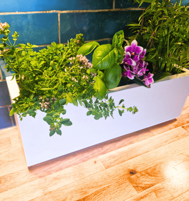 kitchen herb planter box Indoor herb planter box handmade in UK from solid quality wood painted in c