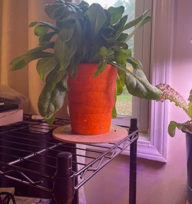 3d printed planter with carrot appearance