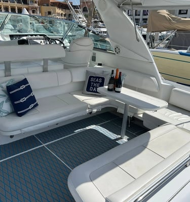 Sea Ray 47 yate Cabo San Lucas Asientos