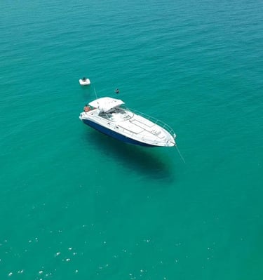 sea ray 47 yacht rental charters cabo san lucas