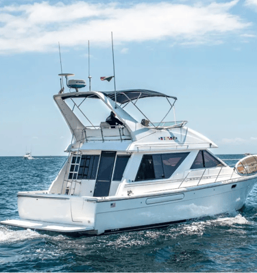 yate bayliner 44 en renta cabo san lucas popa