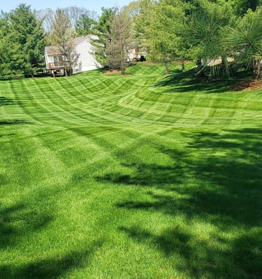 rolling hills on lawn