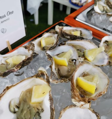 Oysters serevd on ice