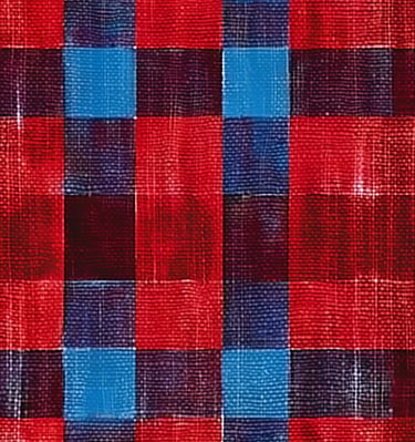 Vumbi Maasai Check