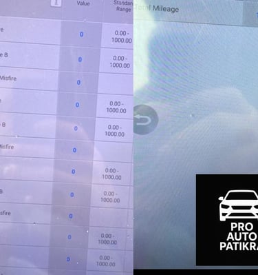 Autopatikra diagnostika