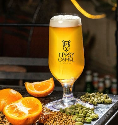 a glass of beer with oranges and seeds
