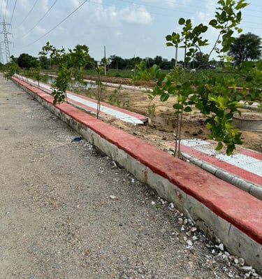 jaipur properties, New plots in jaipur, new colony in jaipur, tonk road jaipur colony