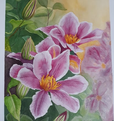 watercolor painting of pink Clematis growing in a garden