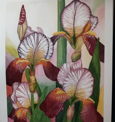 watercolor painting of bearded iris in the garden