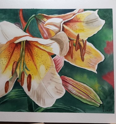 watercolor painting of white liles reflecting the light