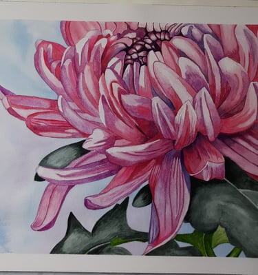 watercolor painting of a pink chrysanthemum