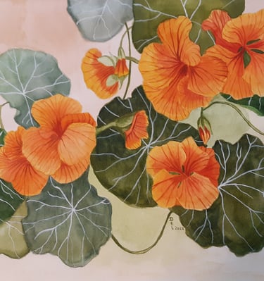 watercolor painting of orange Nasturtium flowers and vines