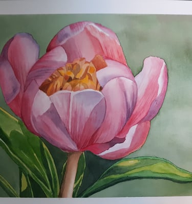 watercolor painting of a pink peony