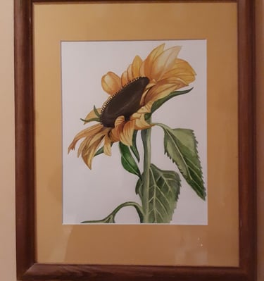 framed watercolor painting of a sunflower