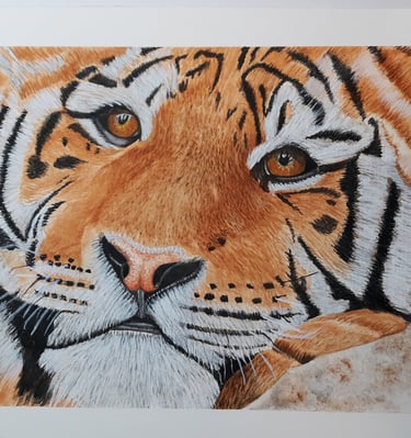 watercolor painting of a tiger