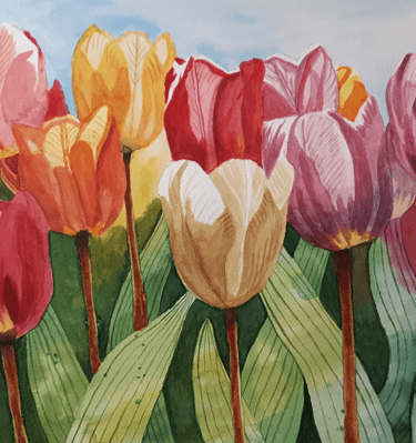 watercolor painting of tulips growing in a garden