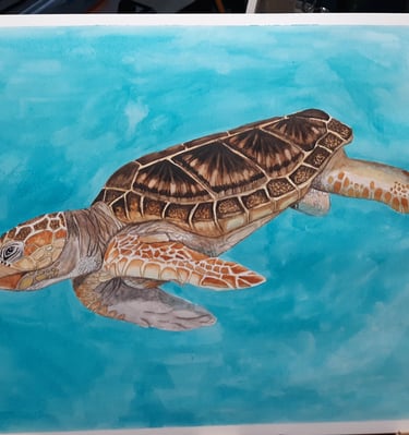 watercolor painting of a turtle doing a deep dive under water