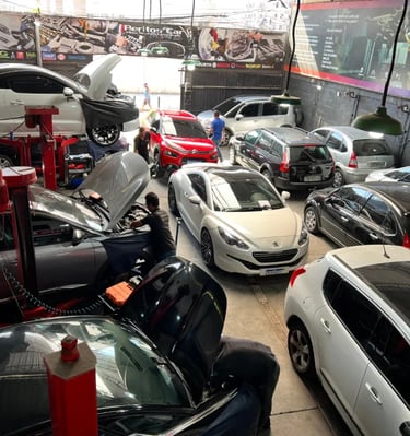Oficina Especializada Citroën e DS