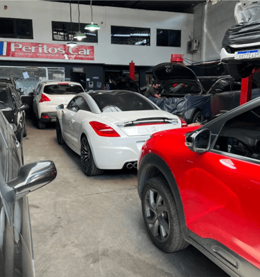 Oficina Especializada Citroën e DS