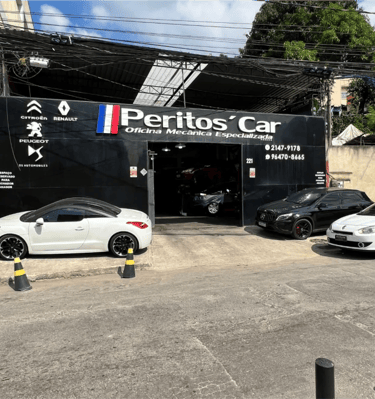 Oficina Especializada Citroën e DS