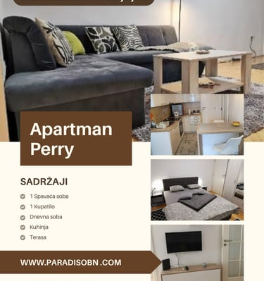 a flyer for a apartment in a house