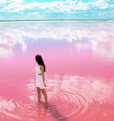 This full-day tour includes round-trip transportation.