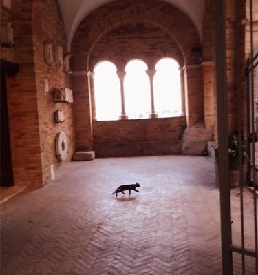 Loreto Aprutino La Città dell'Olio