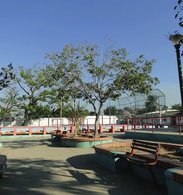 Parque Santabarbara de pinto-mag