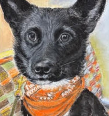 CBM Art Doris Chalk Pastel Dog Artwork