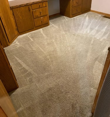 STEAM CLEANED CARPET IN LENEXA KANSAS