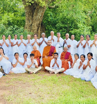 a group of people standing in front of a tree
